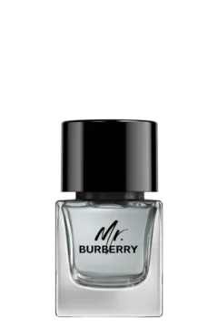 Mr. Burberry EDT
