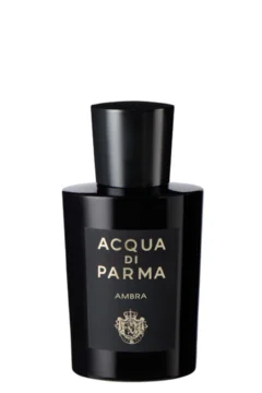Signatures Of The Sun: Ambra EDP