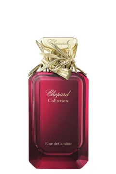 Rose de Caroline EDP
